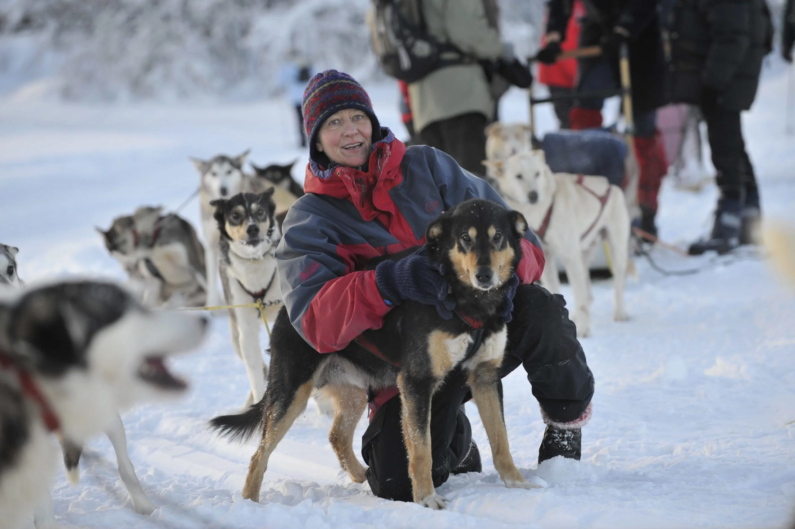 Hundespann Venabu Fjellhotell-olav storm