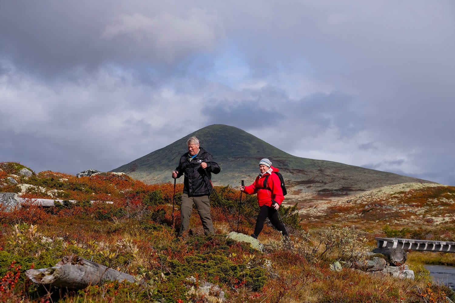 Høstfarger i fjellet | Venabu Fjellhotell og Hytter
