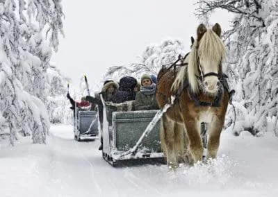 Kanefart hos Venabu Fjellhotell, Venabygdsfjellet. Foto: Olav Storm