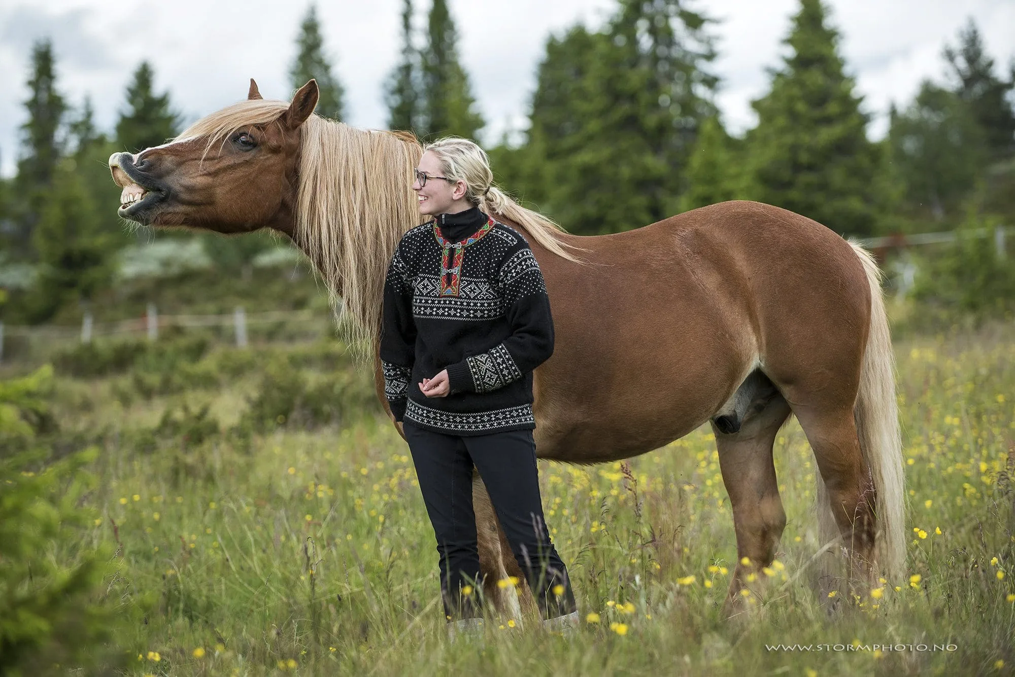Hest Olav Storm