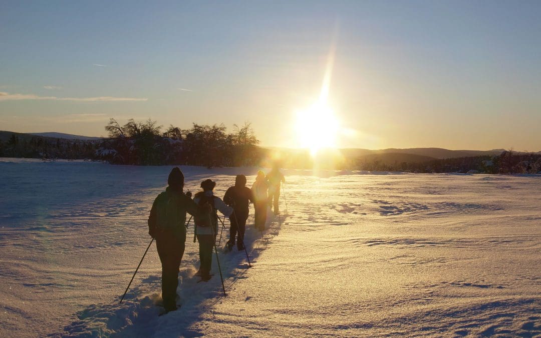 Guided snowshoe tours