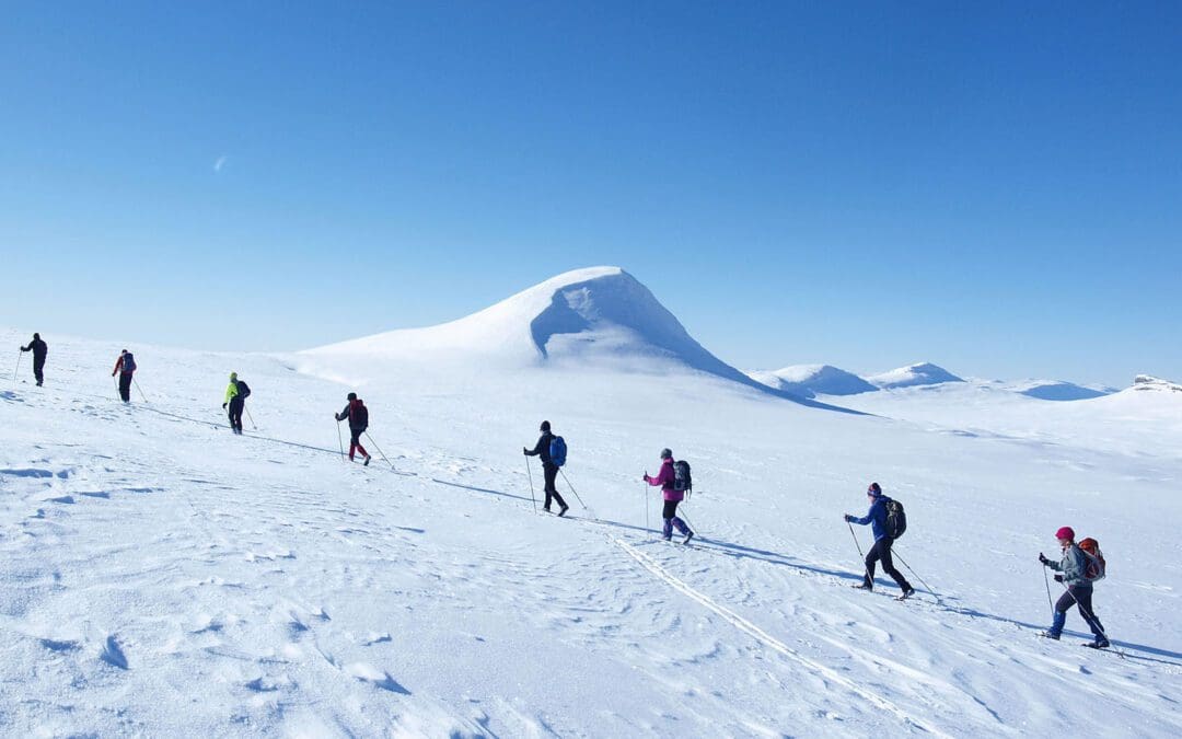 A group of eight skiers ski uphill in the mountains
