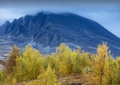 Høst i fjellet | Fototreffet | Venabu Fjellhotell og Hytter