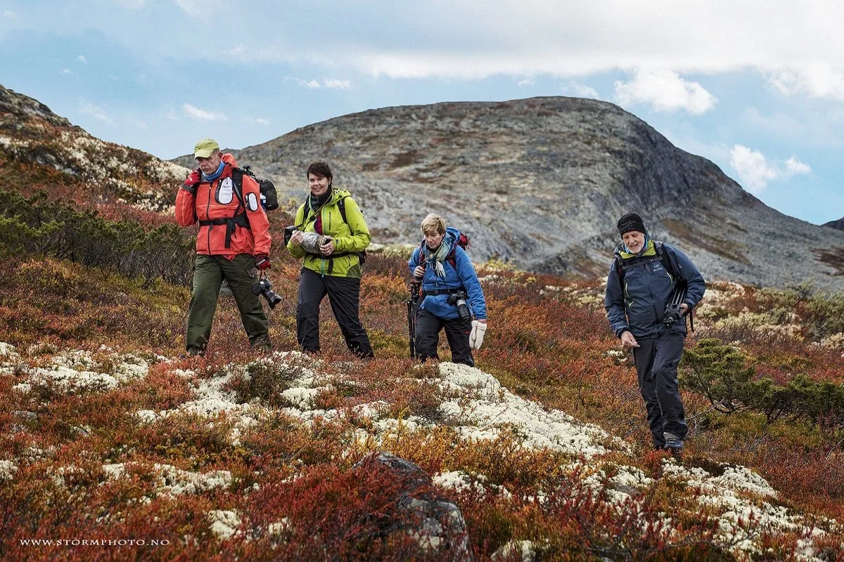 Fotturer i høstfjellet | Fototreffet | Venabu Fjellhotell og Hytter Fotturer i høstfjellet | Fototreffet | Venabu Fjellhotell og Hytter