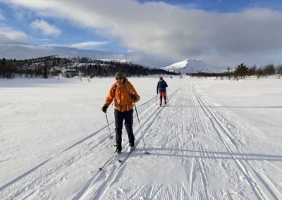Two cross country skiers on snowy tracks