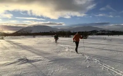 Two Nordic skiers in winter light