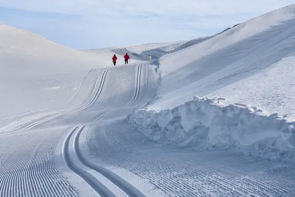 Two cross country skiers at a distance in the tracks