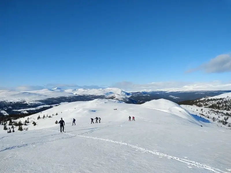 Group of nordic skiers ascend Dynjefjellet off track Venabu Fjellhotell