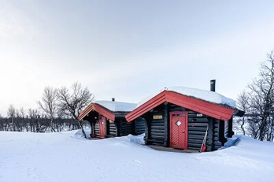 Heimbu_in_winter_Venabu_cabins