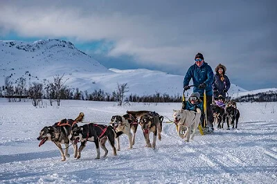 Dogsledding. Christmas in Norway. Venabu