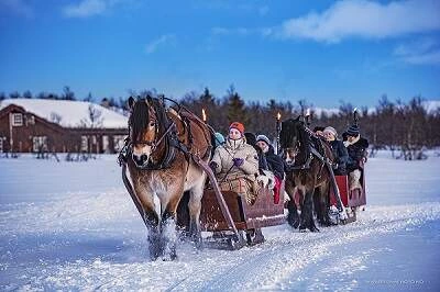 Horse sleigh rides in the snow. Christmas in Norway. Venabu