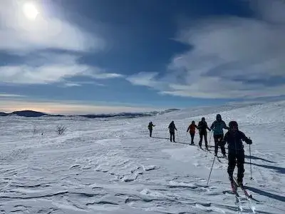 Group of nordic skiers offtrack